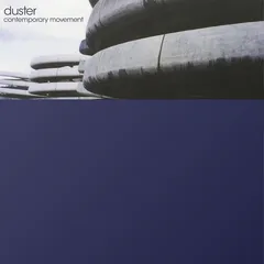 Duster Contemporary Movement: Y2K… - LTD (LP)