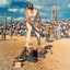 The Chats Half Cut - LTD (LP)