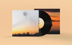 Erland Cooper Dawn Chorus (LP)