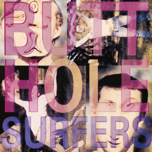 Butthole Surfers Pioughd (LP) 