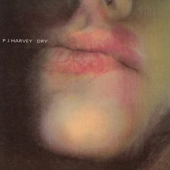 PJ Harvey Dry (US Version) (LP)