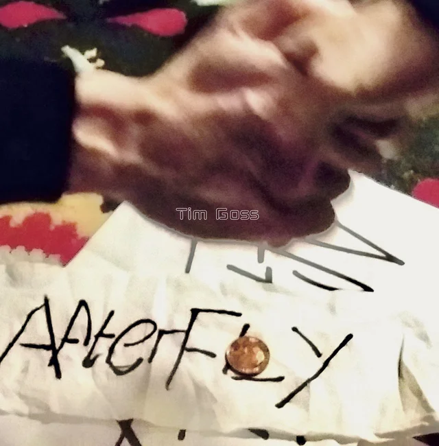 Tim Goss Afterfly (LP) 