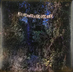 Eyelids The Accidental Falls - LTD (LP)