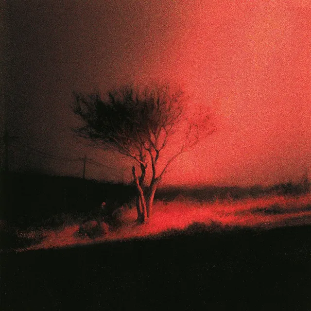Joji Piss In The Wind - LTD (LP) 
