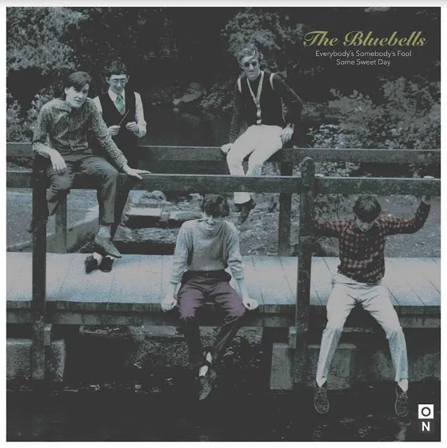 The Bluebells Everbody's Somebody's Fool - LTD (7") 
