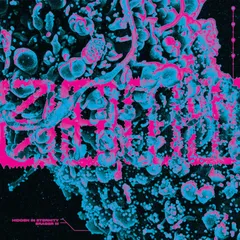 S.H.I.T. Hidden In Eternity / Eraser III (7")