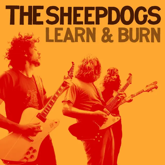 The Sheepdogs Learn & Burn (CD) 