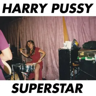 Harry Pussy Superstar (LP) 