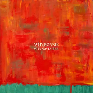 Why Bonnie 90 In November - LTD (LP)