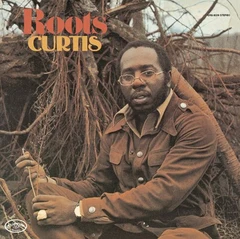 Curtis Mayfield Roots (US Version) (LP)