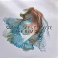 Sasha Scene Delete: The Remixes - LTD (2LP)