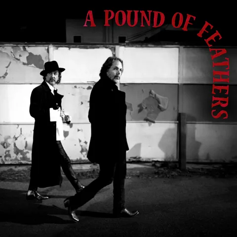 The Black Crowes A Pound Of Feathers (LP)