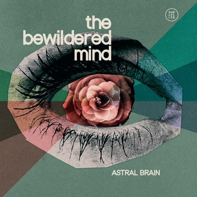 Astral Brain Bewildered Mind (LP) 