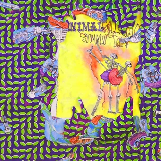 Animal Collective Ballet Slippers (3LP)