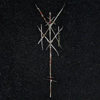 Wiegedood There's Always Blood At The End… (2LP)