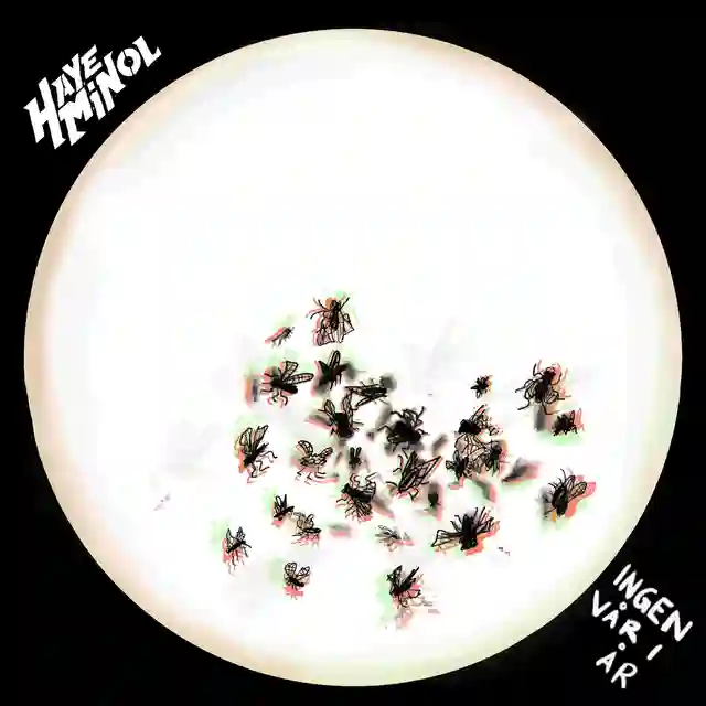 Hayeminol Ingen Vår I År (LP) 