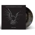 North Mississippi Allstars Set Sail - LTD (LP)