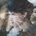 Ava Freddy The Tree (LP)