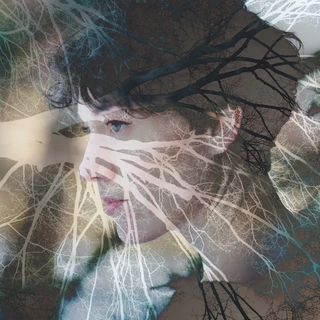 Ava Freddy The Tree (LP)