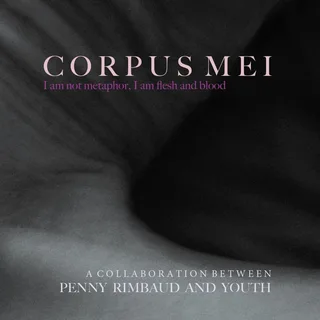 Penny Rimbaud &amp; Youth Corpus Mei - LTD (2LP)