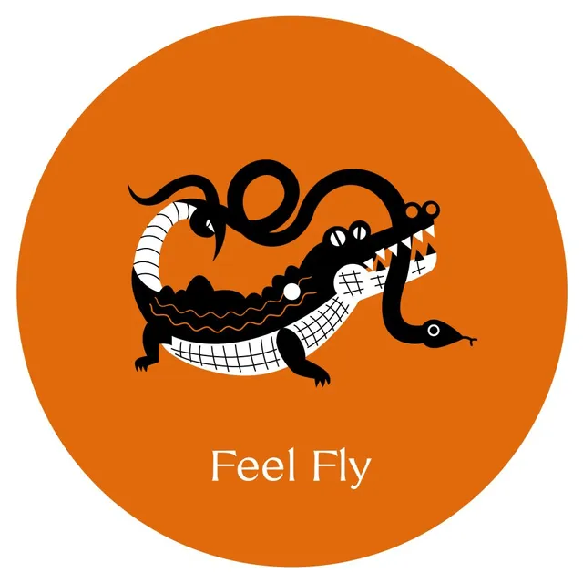 Feel Fly Cosmo Cosmo (12") 