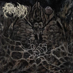 Apparition Feel (LP)