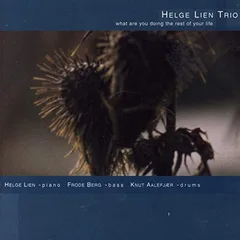 Helge Lien Trio What Are You Doing The Rest Of Your…(CD)