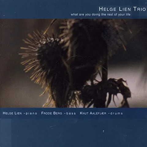 Helge Lien Trio What Are You Doing The Rest Of Your…(CD) 
