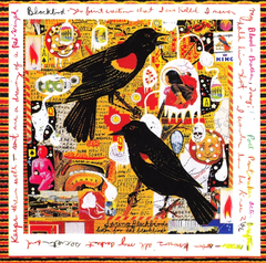 Steve Earle Just An American Boy (2CD)