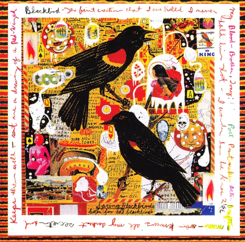 Steve Earle Just An American Boy (2CD) 