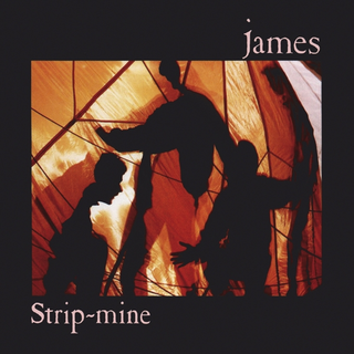James Strip Mine (CD)