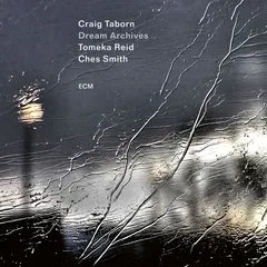 Craig Taborn Dream Archives (CD)