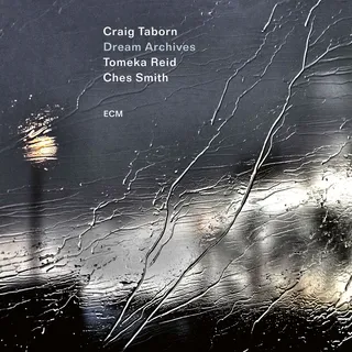 Craig Taborn Dream Archives (CD)