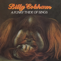 Billy Cobham A Funky Thide Of Sings (CD)