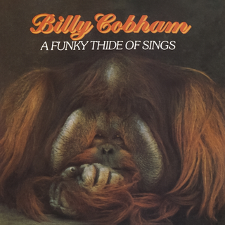 Billy Cobham A Funky Thide Of Sings (CD)