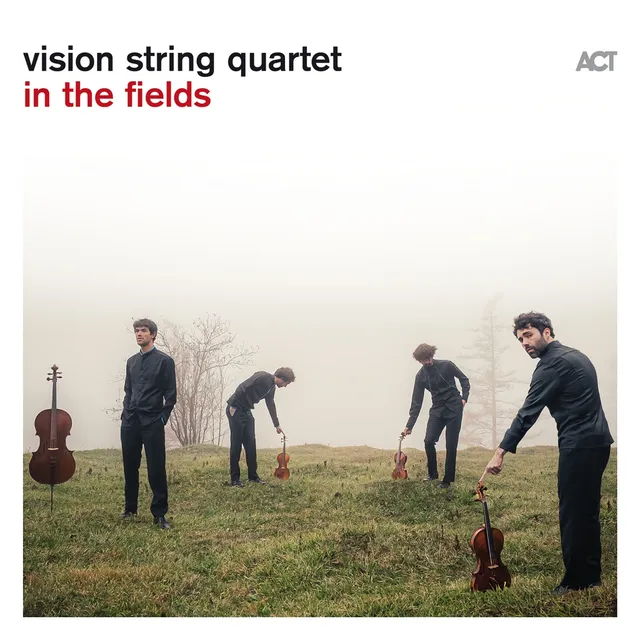 Vision String Quartet In The Fields (LP) 