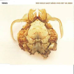 Tønes Sko Ikkje Sagt Någe Hvis Det Va… (CD)