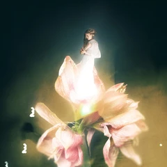 Amalie Holt Kleive Vi Er De Evige (LP)