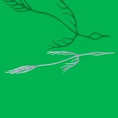 Astrid Sonne outside of your lifetime (LP)