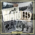 Maldito Heartlands (LP)