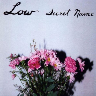 Low Secret Name (2LP)