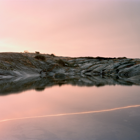 Cassandra Jenkins An Overview On An Overview… (CD) 