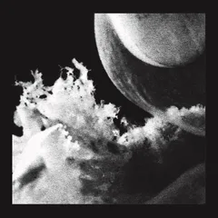 Jlin Embryo (12")