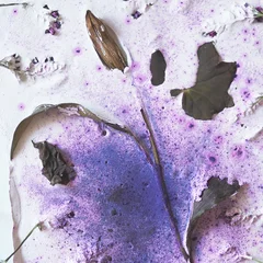Køs An Uncaught Bird (LP)