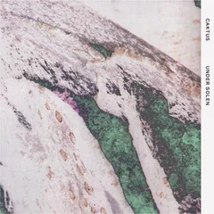 Caktus Under Solen (LP)