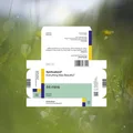 Spiritualized Everything Was Beautiful (CD)