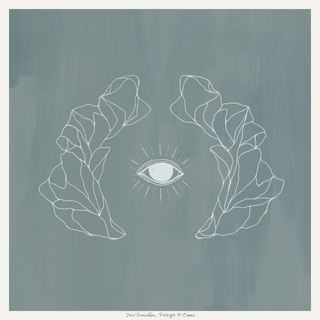José González Vestiges &amp; Claws (LP)