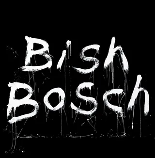 Scott Walker Bish Bosch (CD)