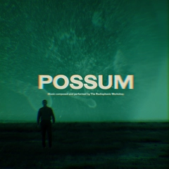 The Radiophonic Workshop Possum OST - LTD (2LP)