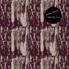 Special Interest Trust No Wave (LP)
